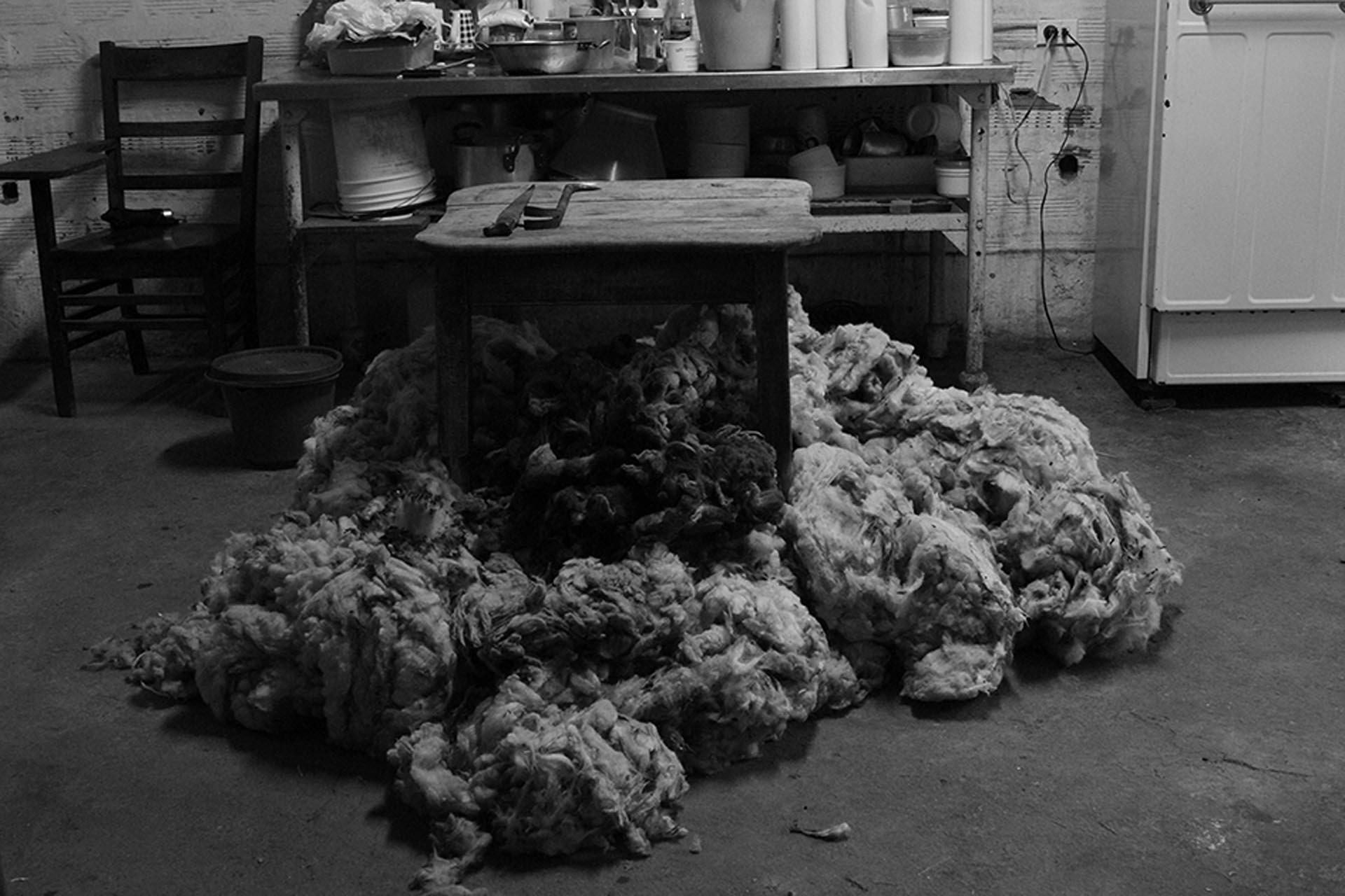  Arquitecturas del corazón - Tania Ausecha