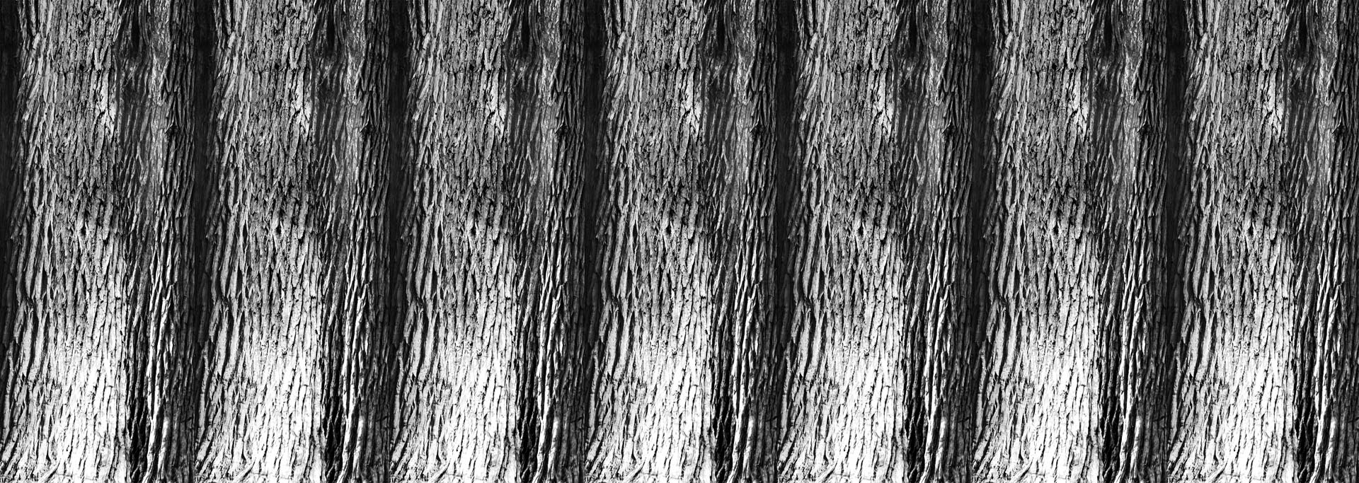 Najt - Tania Ausecha